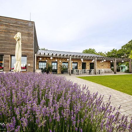Bed and Breakfast Panorama Birtok - Wellness Panzio, Konferencia Es Rendezvenykoezpont Gyorujbarat Экстерьер фото